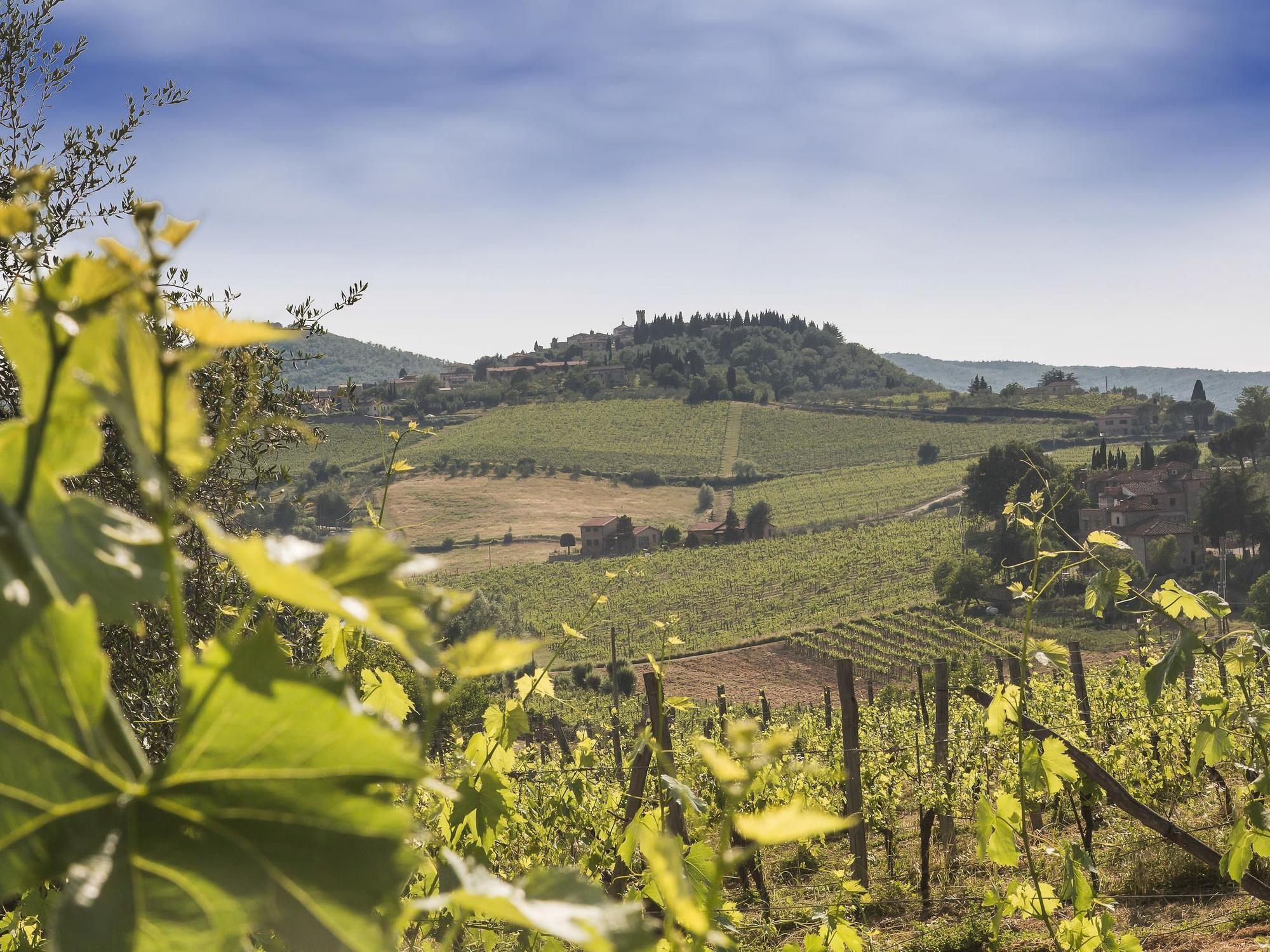 Relais Santa Cristina * Radda in Chianti