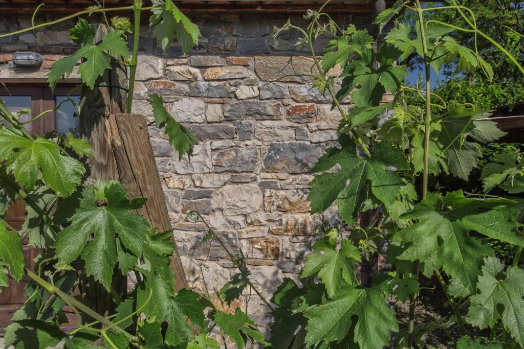 Relais Santa Cristina Séjour à la campagne *