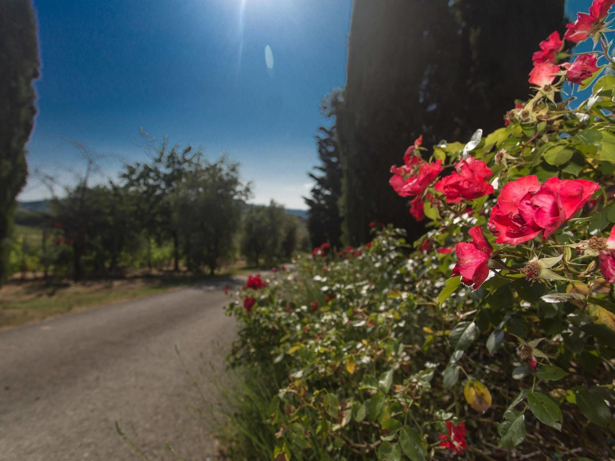 Relais Santa Cristina Country house *